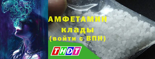 шишки Слюдянка
